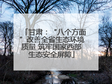 甘肃：“八个方面”改善全省生态环境质量 筑牢国家西部生态安全屏障