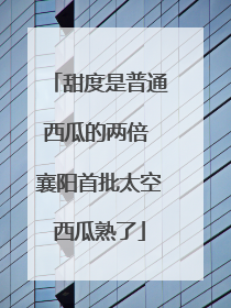 甜度是普通西瓜的两倍 襄阳首批太空西瓜熟了