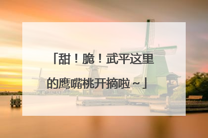 甜！脆！武平这里的鹰嘴桃开摘啦～
