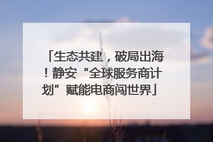 生态共建，破局出海！静安“全球服务商计划”赋能电商闯世界