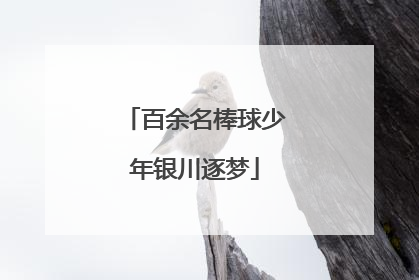 百余名棒球少年银川逐梦