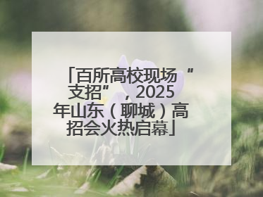 百所高校现场“支招”，2025年山东（聊城）高招会火热启幕