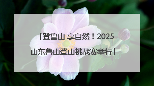 登鲁山 享自然！2025山东鲁山登山挑战赛举行