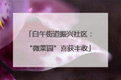 白午街道振兴社区：“微菜园”喜获丰收