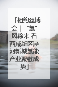 相约丝博会｜“氢”风徐来 看西咸新区泾河新城氢能产业聚链成势