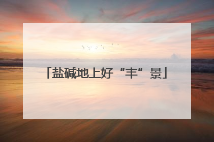 盐碱地上好“丰”景