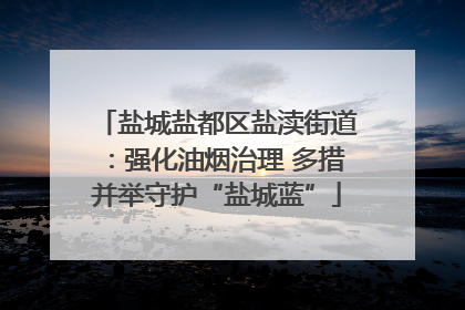 盐城盐都区盐渎街道：强化油烟治理 多措并举守护“盐城蓝”