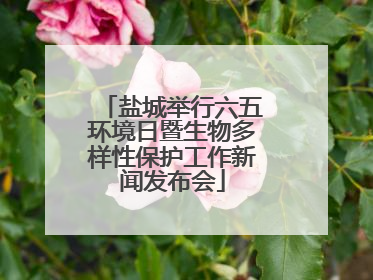 盐城举行六五环境日暨生物多样性保护工作新闻发布会