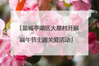 盐城亭湖区大星村开展端午节主题关爱活动