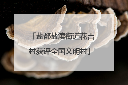 盐都盐渎街道花吉村获评全国文明村