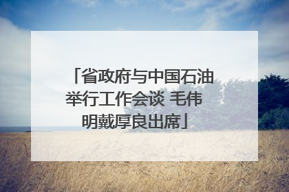 省政府与中国石油举行工作会谈 毛伟明戴厚良出席