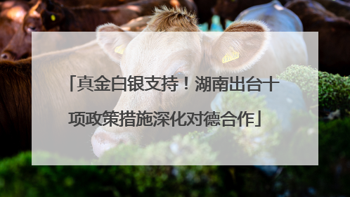 真金白银支持！湖南出台十项政策措施深化对德合作