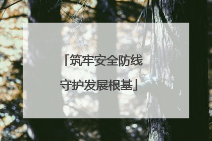 筑牢安全防线 守护发展根基