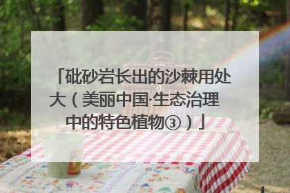 砒砂岩长出的沙棘用处大（美丽中国·生态治理中的特色植物③）