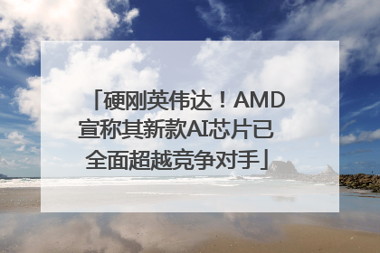 硬刚英伟达！AMD宣称其新款AI芯片已全面超越竞争对手