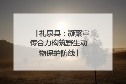 礼泉县：凝聚宣传合力构筑野生动物保护防线