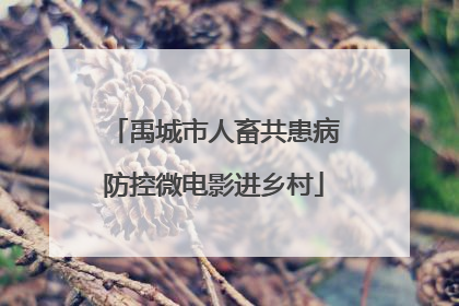 禹城市人畜共患病防控微电影进乡村
