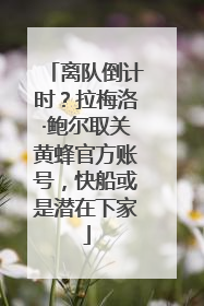 离队倒计时？拉梅洛·鲍尔取关黄蜂官方账号，快船或是潜在下家