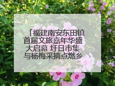 福建南安东田镇首届文旅嘉年华盛大启幕 圩日市集与杨梅采摘点燃乡村振兴新动能
