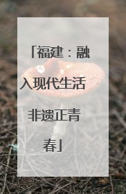 福建：融入现代生活 非遗正青春