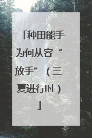 种田能手为何从容“放手”（三夏进行时）