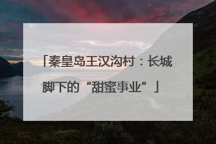 秦皇岛王汉沟村：长城脚下的“甜蜜事业”