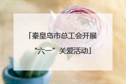 秦皇岛市总工会开展“六一”关爱活动