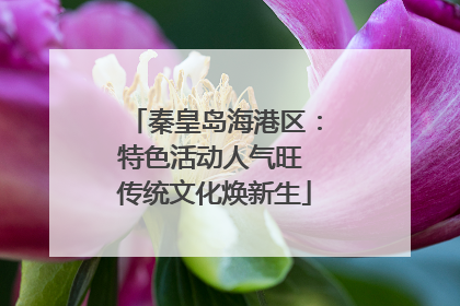 秦皇岛海港区：特色活动人气旺 传统文化焕新生