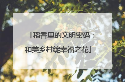稻香里的文明密码：和美乡村绽幸福之花