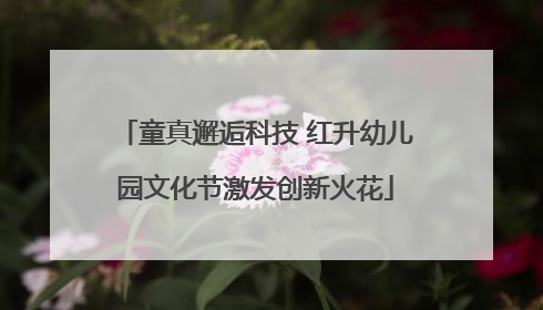 童真邂逅科技 红升幼儿园文化节激发创新火花
