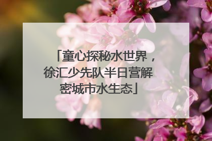 童心探秘水世界，徐汇少先队半日营解密城市水生态