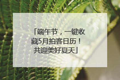 端午节，一键收藏5月拍客日历！共迎美好夏天