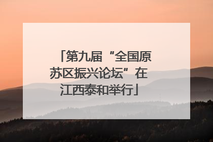第九届“全国原苏区振兴论坛”在江西泰和举行