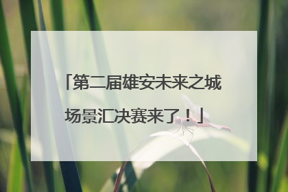 第二届雄安未来之城场景汇决赛来了！