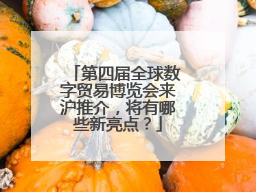 第四届全球数字贸易博览会来沪推介，将有哪些新亮点？