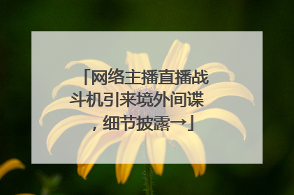 网络主播直播战斗机引来境外间谍，细节披露→
