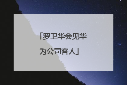 罗卫华会见华为公司客人