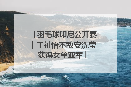 羽毛球印尼公开赛｜王祉怡不敌安洗莹 获得女单亚军