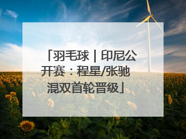 羽毛球｜印尼公开赛：程星/张驰混双首轮晋级