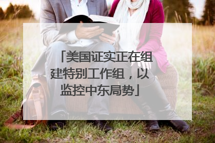 美国证实正在组建特别工作组，以监控中东局势