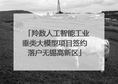 羚数人工智能工业垂类大模型项目签约落户无锡高新区