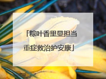 粽叶香里显担当 重症救治护安康