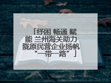 纾困 畅通 赋能 兰州海关助力陇原民营企业扬帆“一带一路”