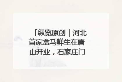 纵览原创｜河北首家盒马鲜生在唐山开业，石家庄门店预计8月开业