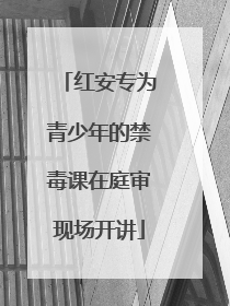 红安专为青少年的禁毒课在庭审现场开讲
