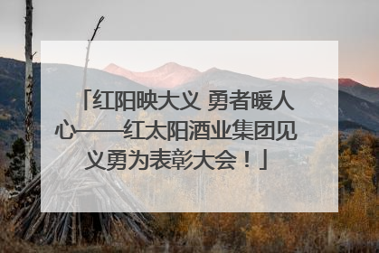 红阳映大义 勇者暖人心——红太阳酒业集团见义勇为表彰大会！