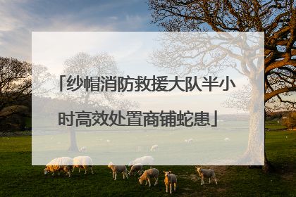 纱帽消防救援大队半小时高效处置商铺蛇患