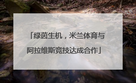 绿茵生机，米兰体育与阿拉维斯竞技达成合作