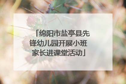 绵阳市盐亭县先锋幼儿园开展小班家长进课堂活动