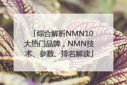 综合解析NMN10大热门品牌，NMN技术、参数、排名解读